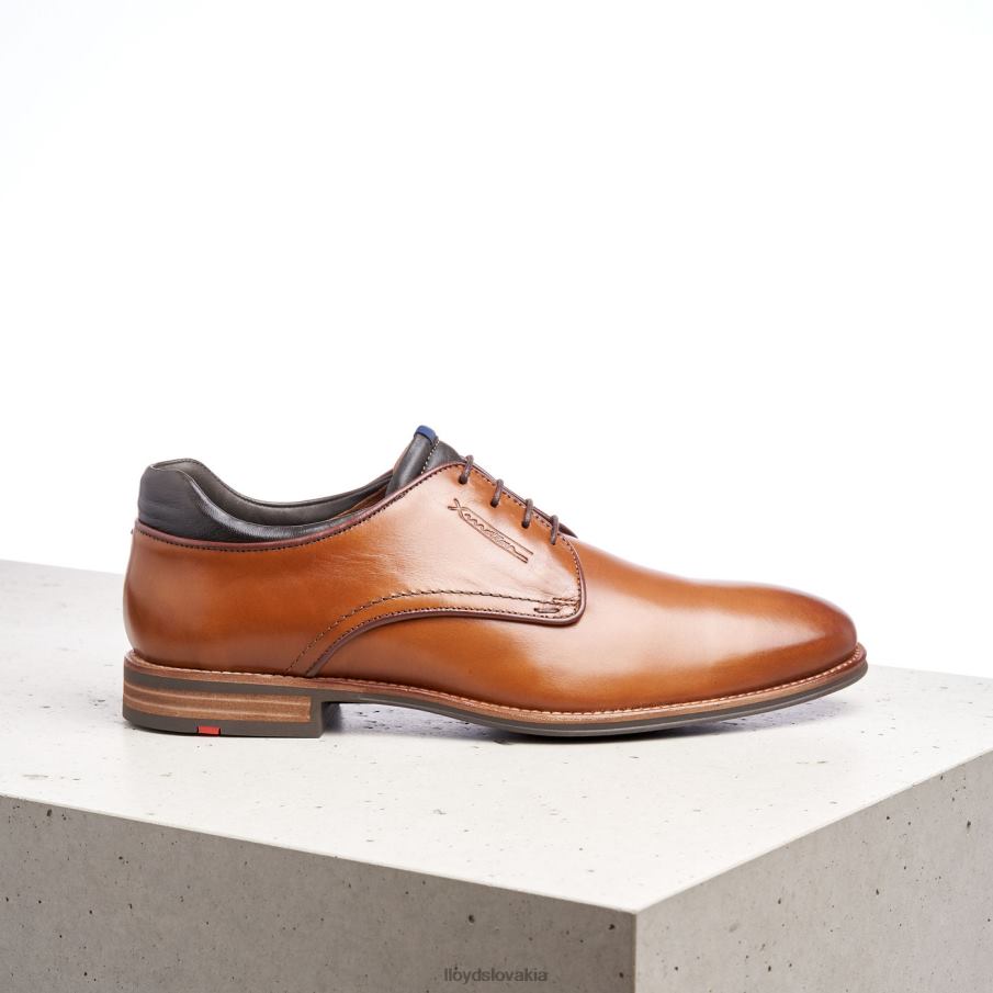 LLOYD massimo muži topánky hnedá 6R0JN201