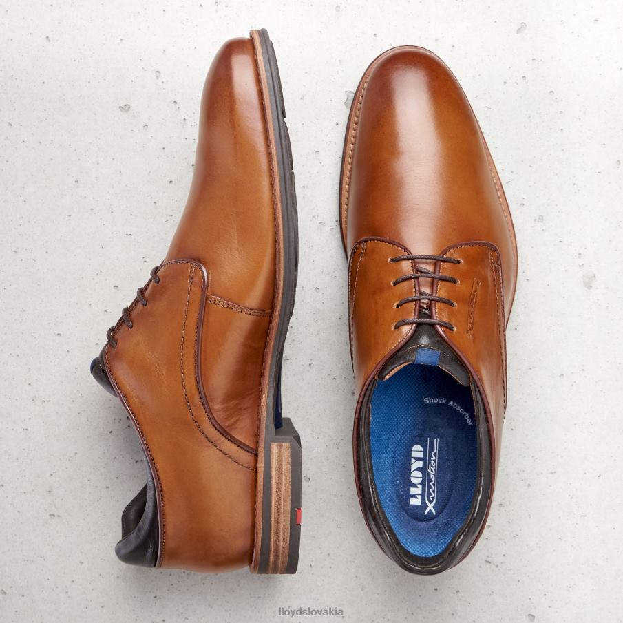 LLOYD massimo muži topánky hnedá 6R0JN201