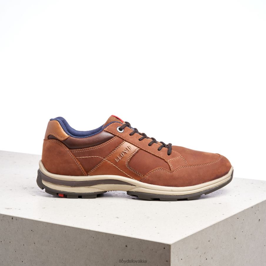 LLOYD senzor muži topánky hnedá 6R0JN394
