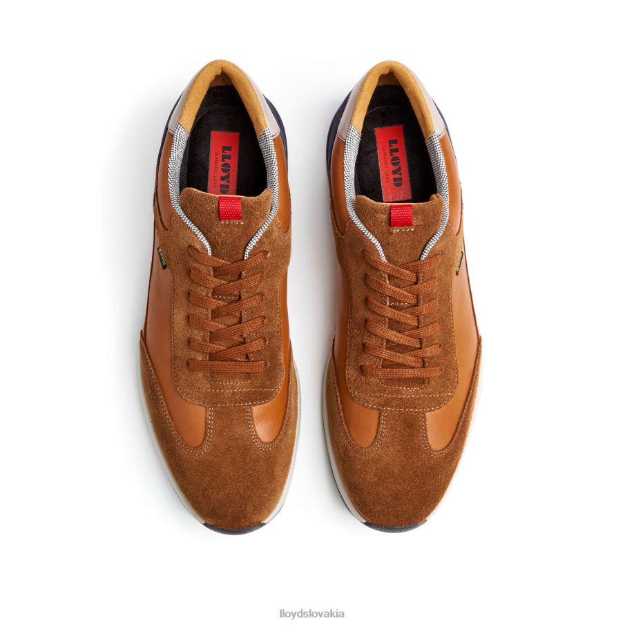 LLOYD vedea muži topánky hnedá 6R0JN322