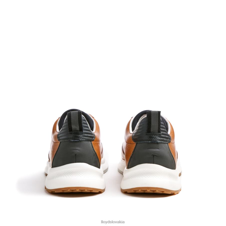 LLOYD velo 6 muži topánky hnedá 6R0JN435