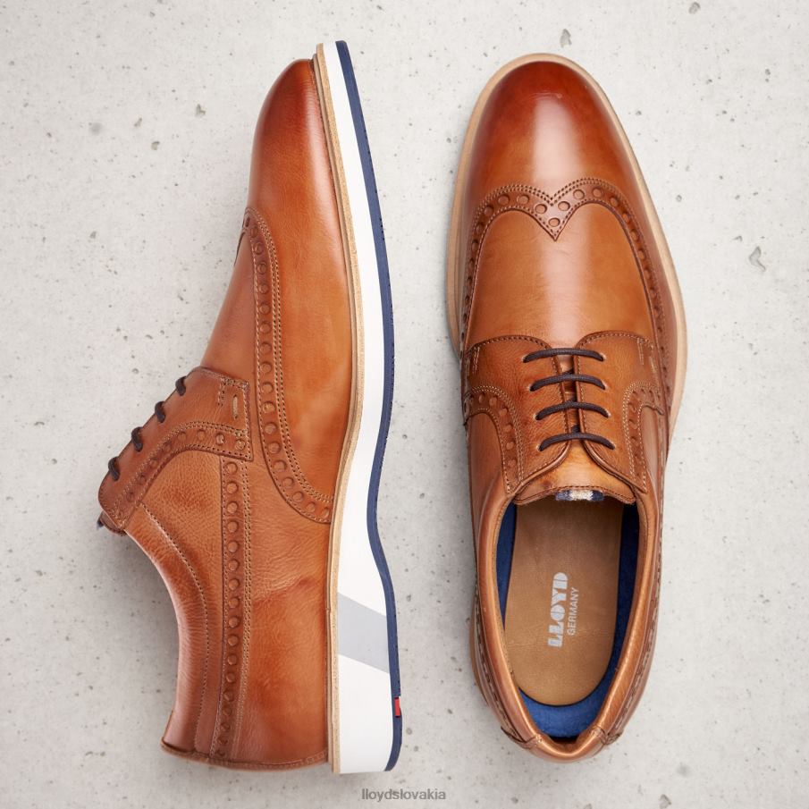 LLOYD nafir muži topánky hnedá 6R0JN247