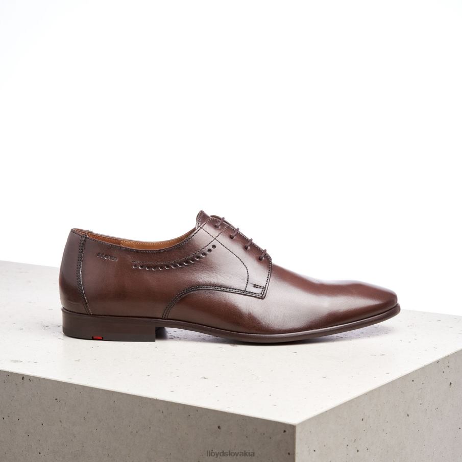 LLOYD ocas muži topánky hnedá 6R0JN575