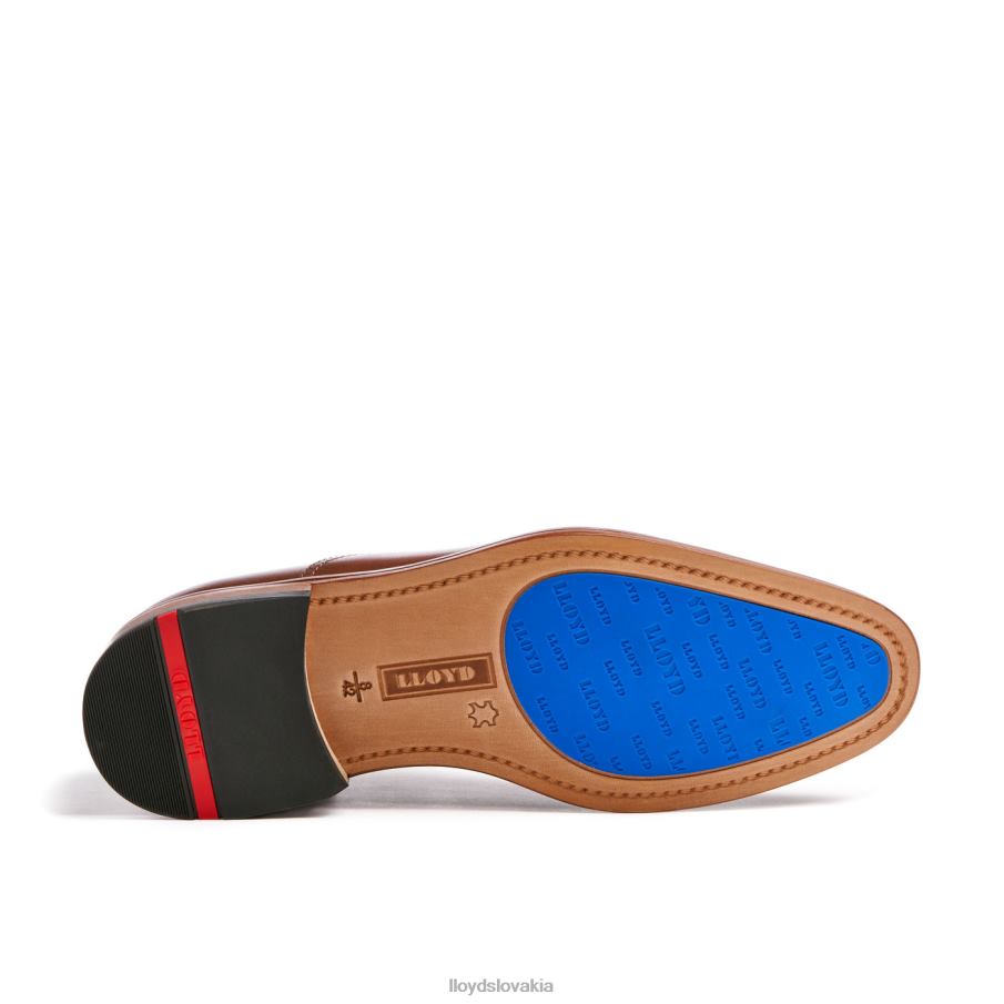 LLOYD okradnúť muži topánky hnedá 6R0JN130