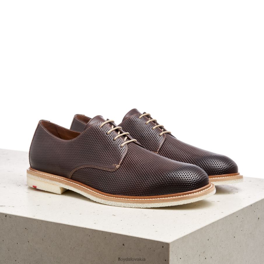 LLOYD palma muži topánky hnedá 6R0JN226