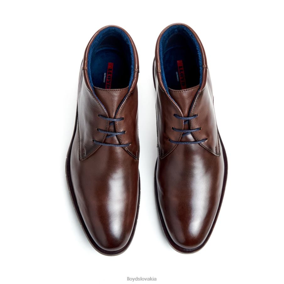 LLOYD tamar muži topánky hnedá 6R0JN55