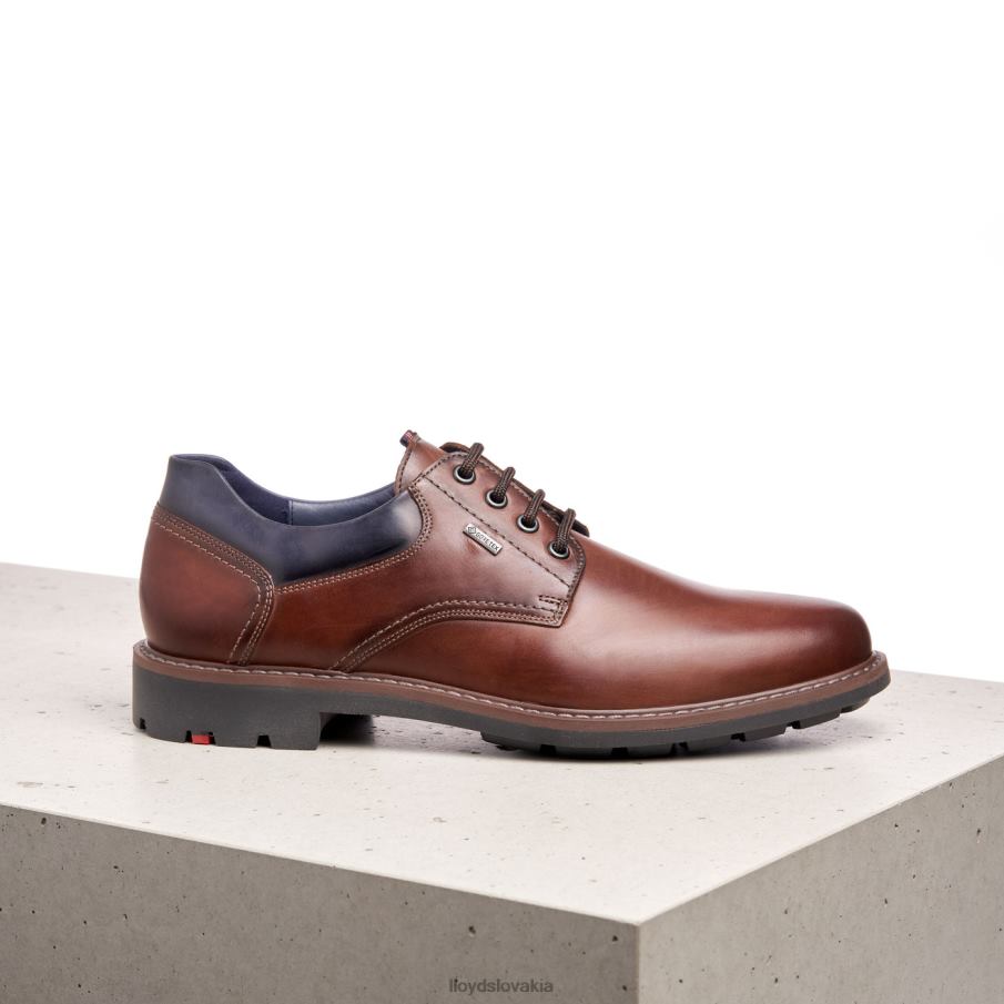 LLOYD vanja muži topánky hnedá 6R0JN576