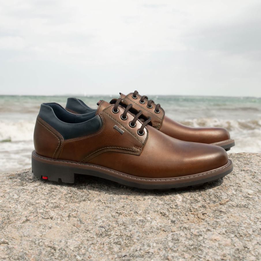 LLOYD vanja muži topánky hnedá 6R0JN576