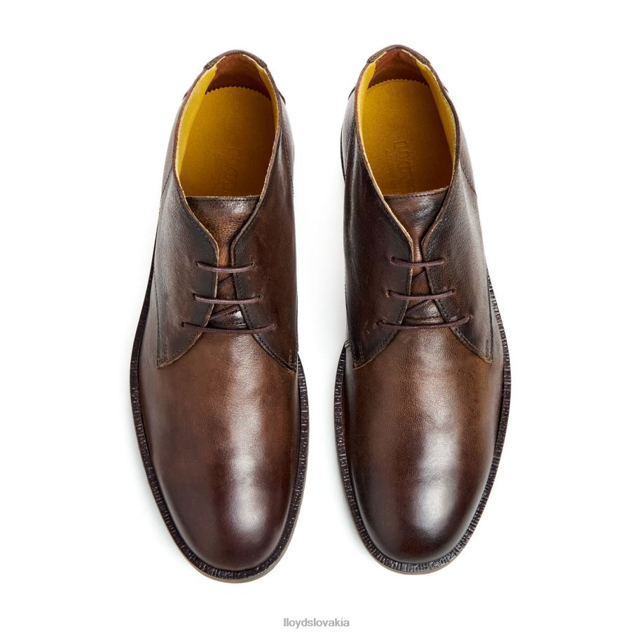 LLOYD vojvoda muži topánky hnedá 6R0JN43