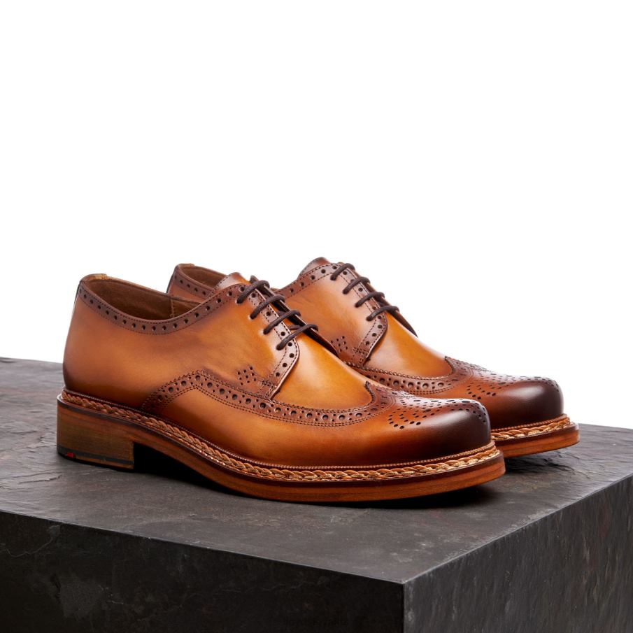 LLOYD wotan muži topánky hnedá 6R0JN163