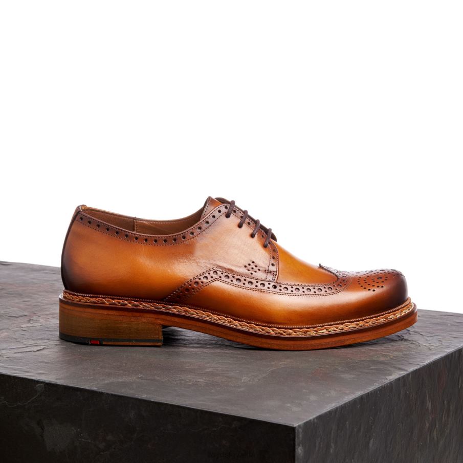 LLOYD wotan muži topánky hnedá 6R0JN163