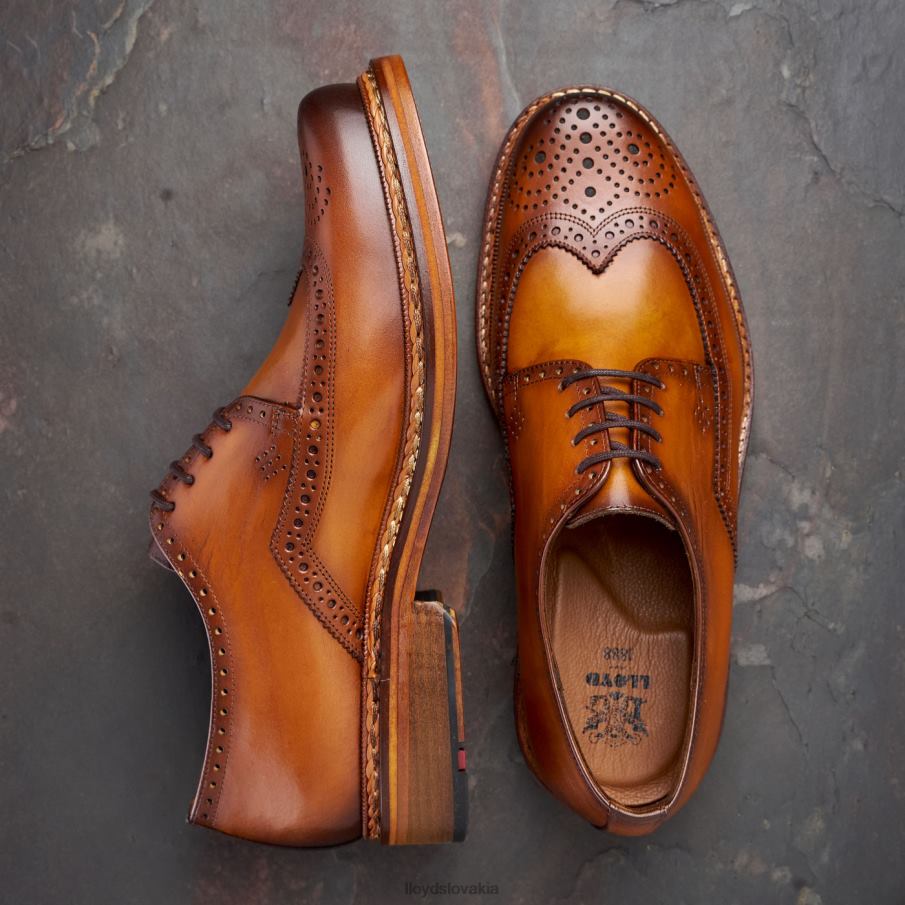 LLOYD wotan muži topánky hnedá 6R0JN163