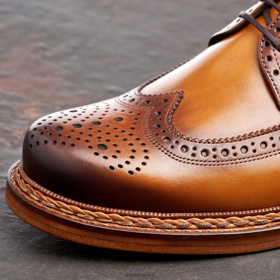 LLOYD wotan muži topánky hnedá 6R0JN163