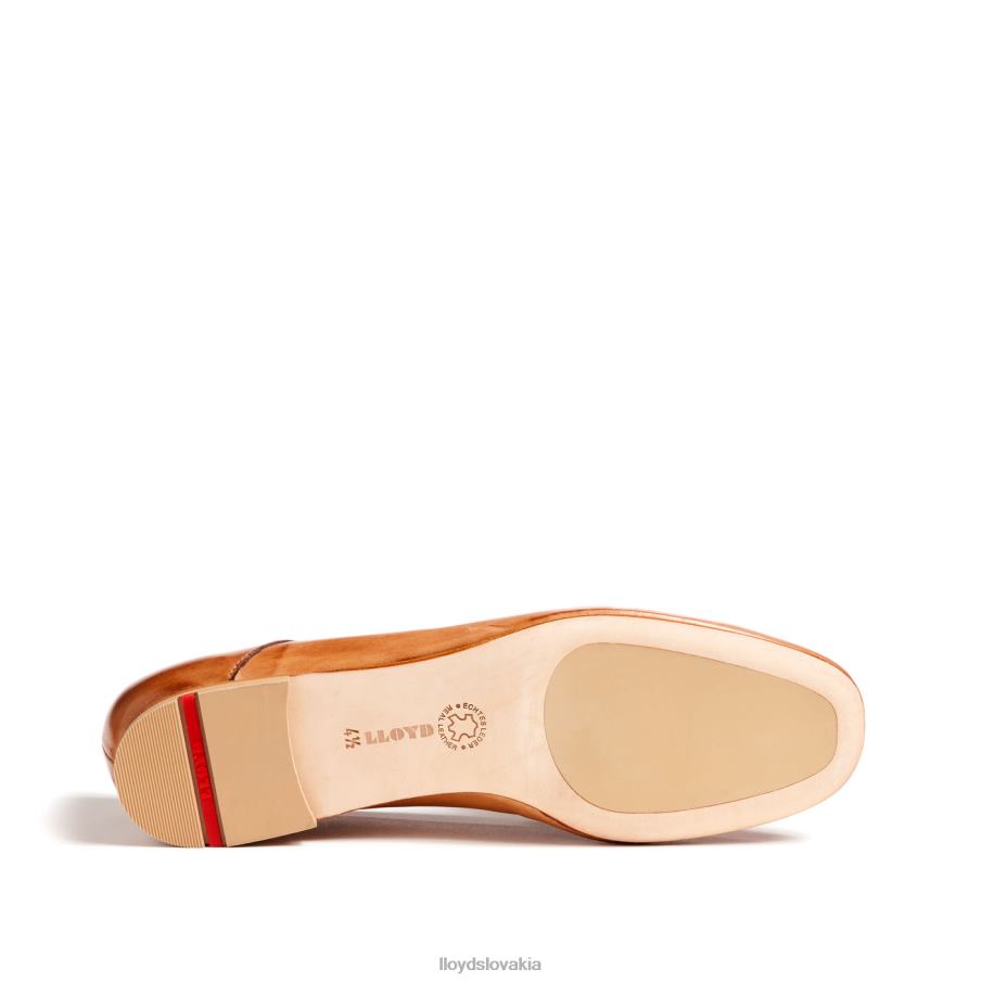 LLOYD papuča ženy topánky hnedá 6R0JN1044