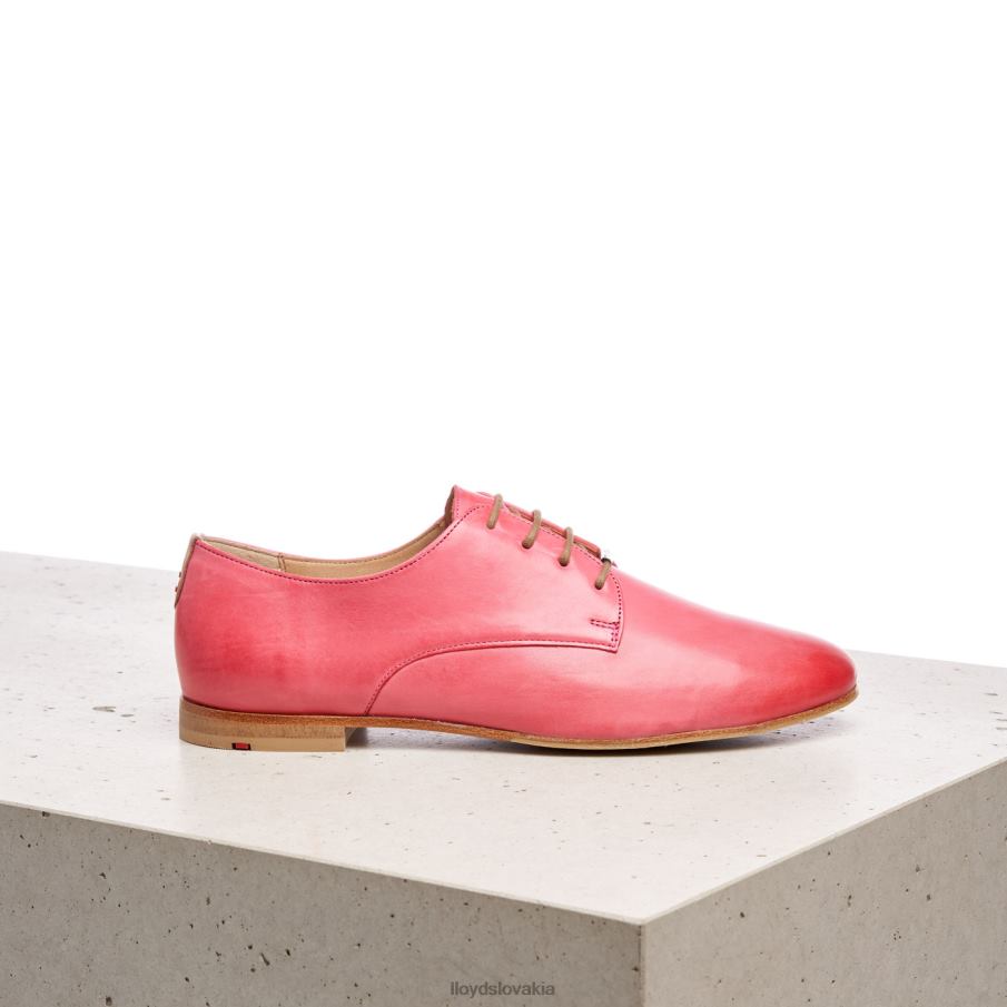 LLOYD čipkové hladké kožené poltopánky ženy topánky Ružová 6R0JN1093