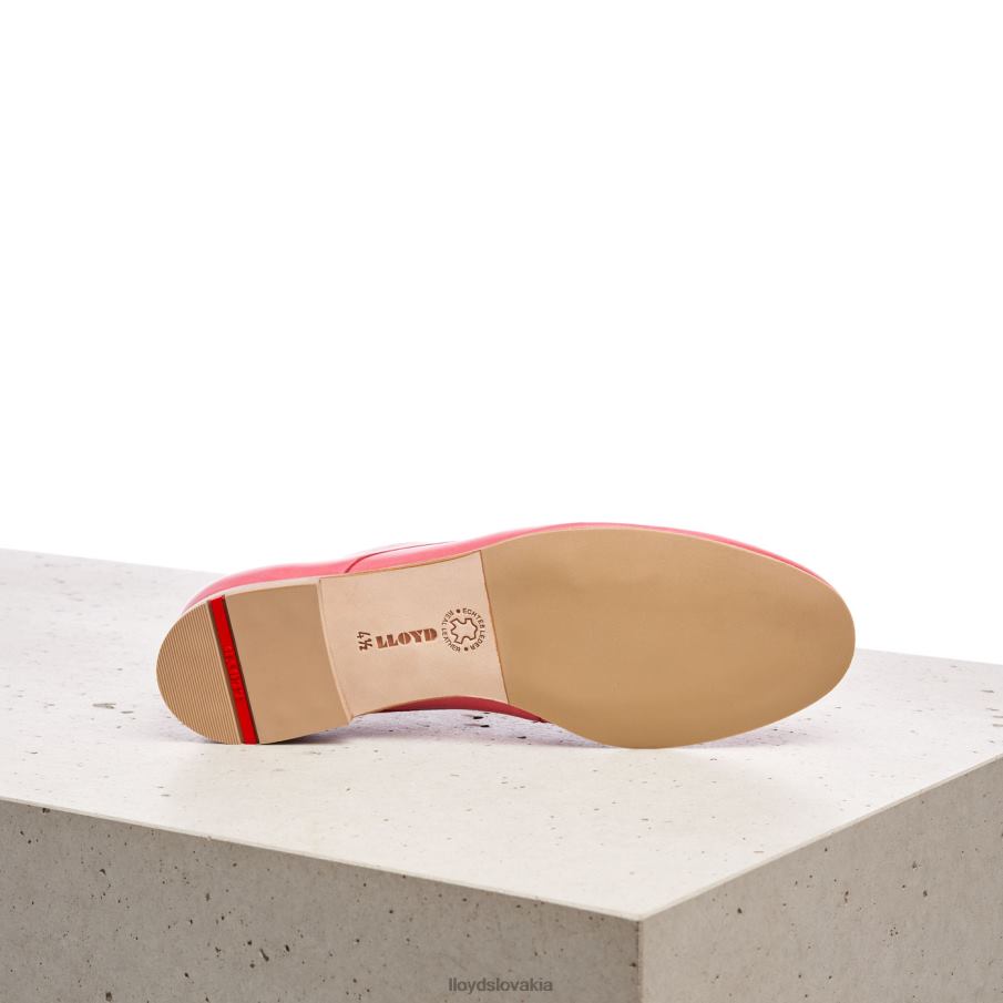 LLOYD čipkové hladké kožené poltopánky ženy topánky Ružová 6R0JN1093